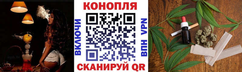 Где купить Пустошка Альфа ПВП  Мефедрон  Гашиш  Каннабис  Кокаин 