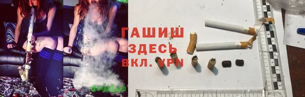 PSILOCYBIN Медвежьегорск
