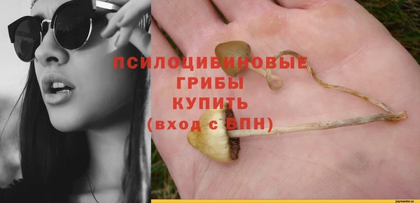 марки lsd Мегион