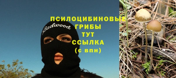 ECSTASY Михайловка